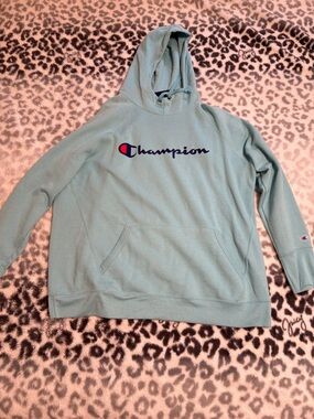 NWT Champion Baby Blue Pullover Hoodie